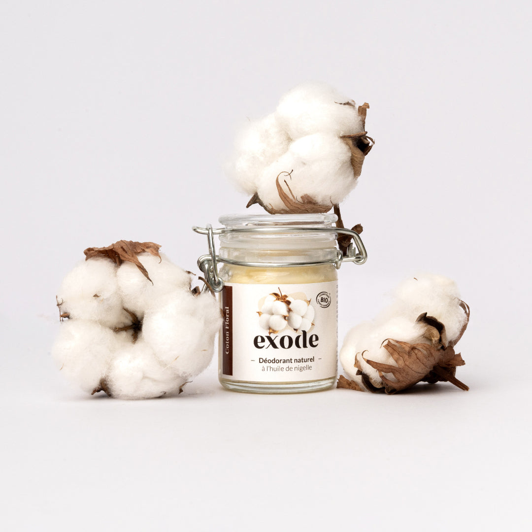 Déodorant Baume - Coton
