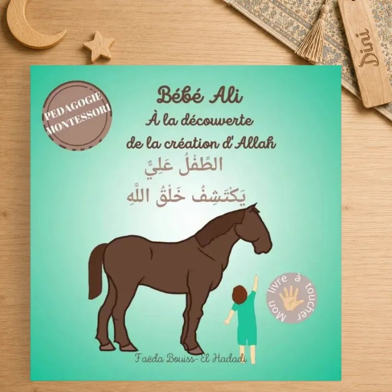 Bébé Ali à la découverte de la création d'Allah