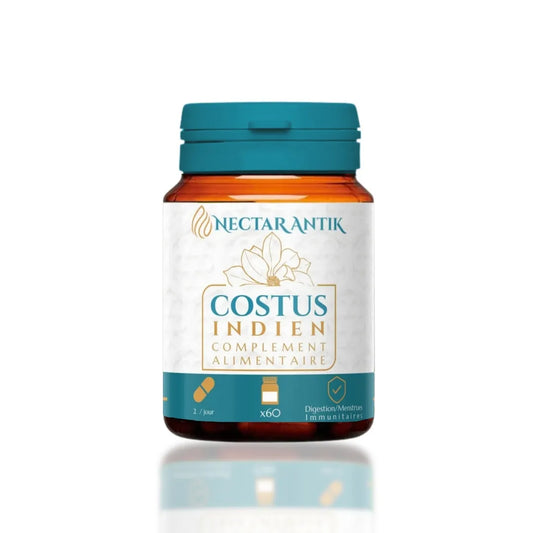Costus Indien gélules – Nectar Antik