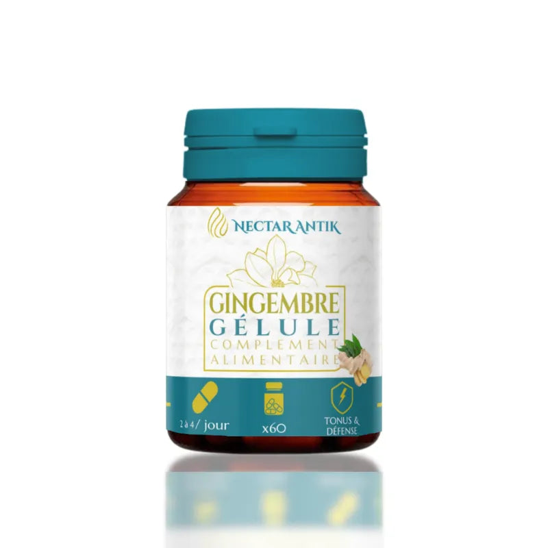 Gingembre gélules – Nectar Antik