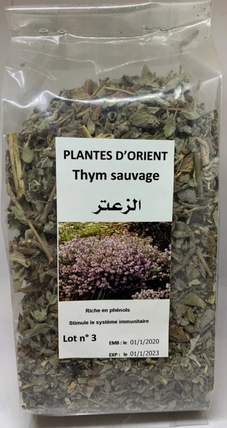 Thym sauvage - Plantes d'orient