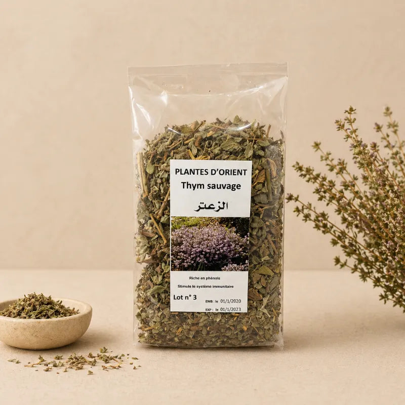 Thym sauvage - Plantes d'orient