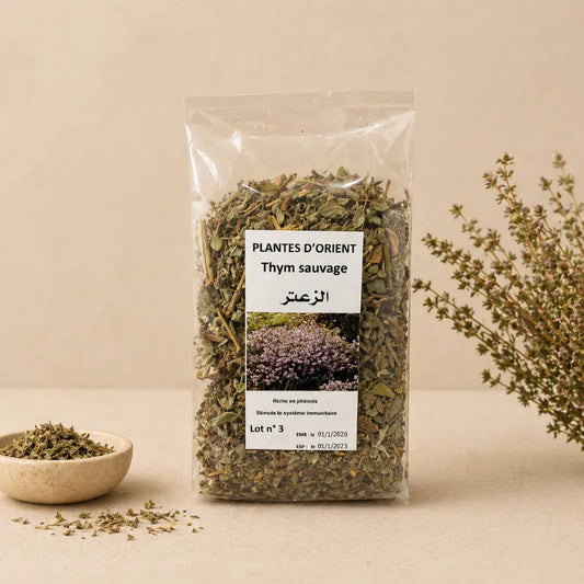 Thym sauvage - Plantes d'orient