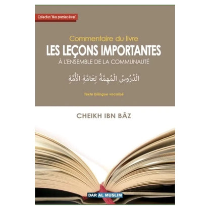 Commentaire du livre Les leçons importantes