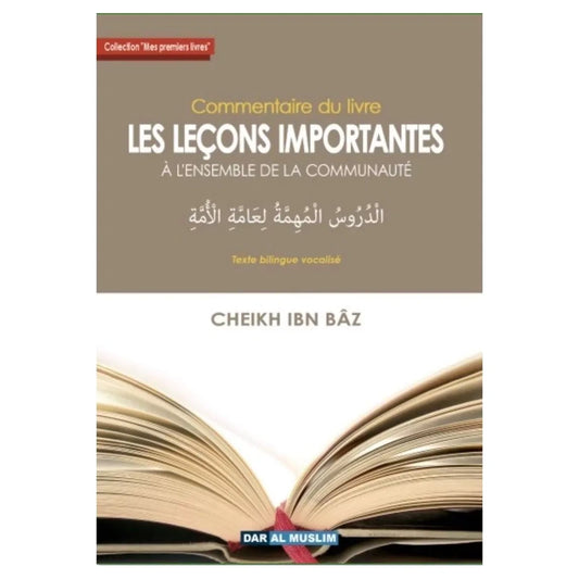 Commentaire du livre Les leçons importantes