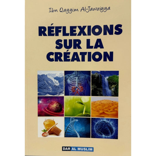 Réflexions sur la création